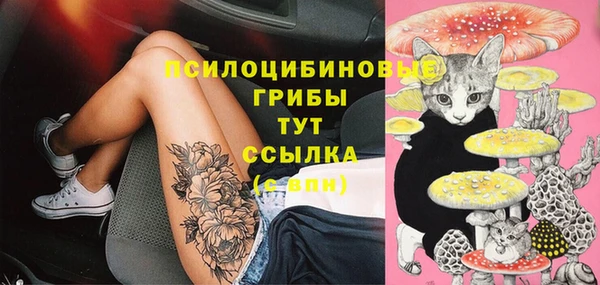бутират Баксан