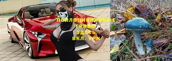 бутират Баксан